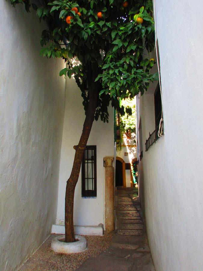 Cordoba Con Encanto Lubi I Экстерьер фото