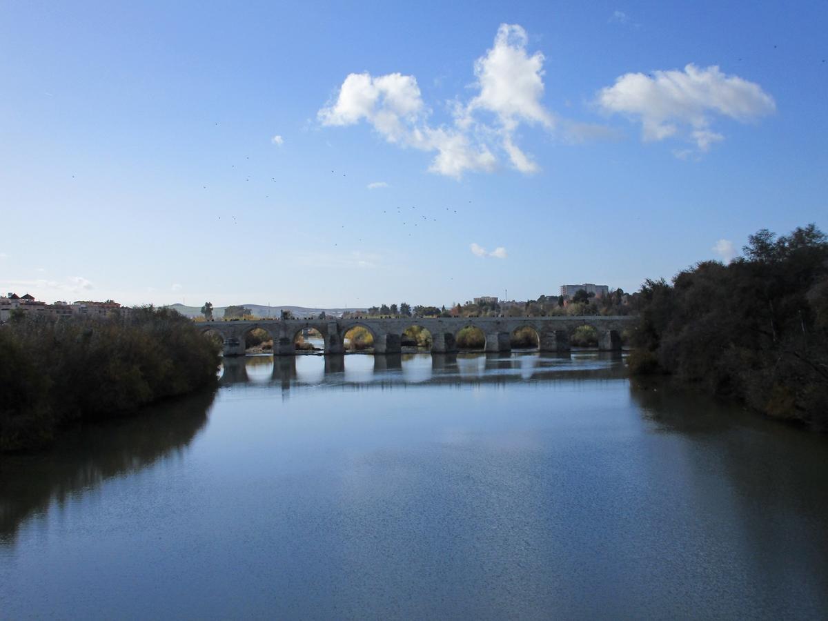 Cordoba Con Encanto Lubi I Экстерьер фото
